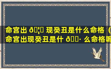 命宫出 🦊 现癸丑是什么命格（命宫出现癸丑是什 🌷 么命格呢）